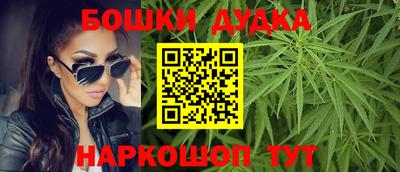 прущие крисы Будённовск