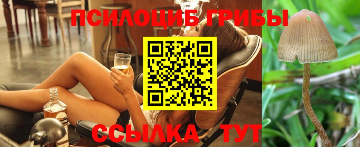 Псилоцибиновые грибы Psilocybine cubensis Семёнов